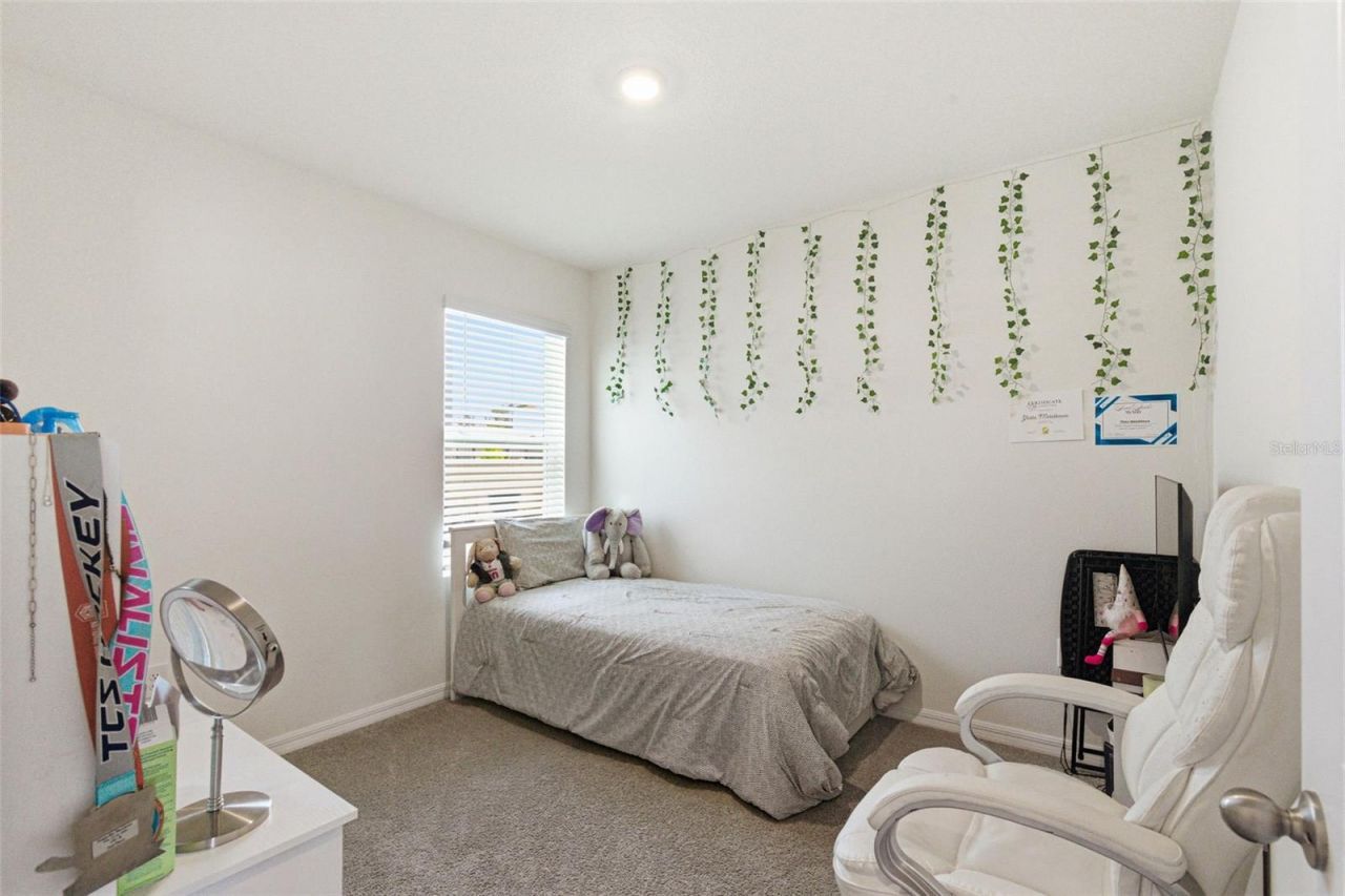2959 Common Fig Run, Wesley Chapel, FL 33543 Photo