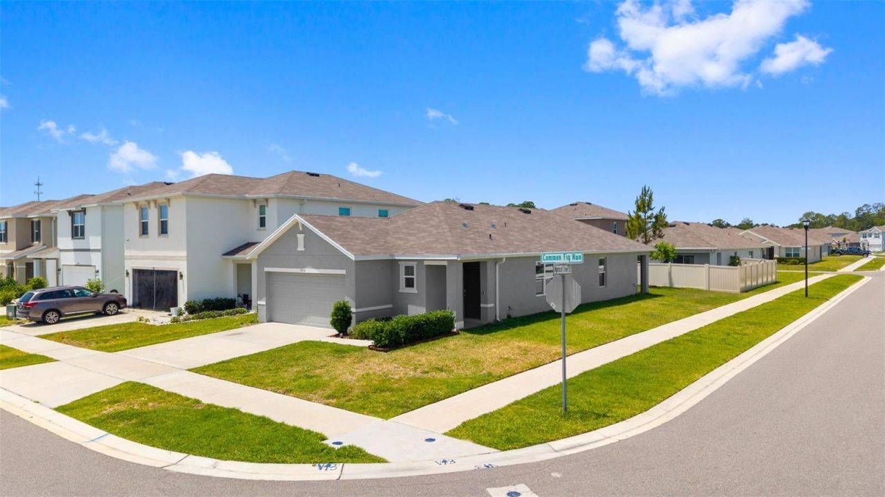2959 Common Fig Run, Wesley Chapel, FL 33543 Photo