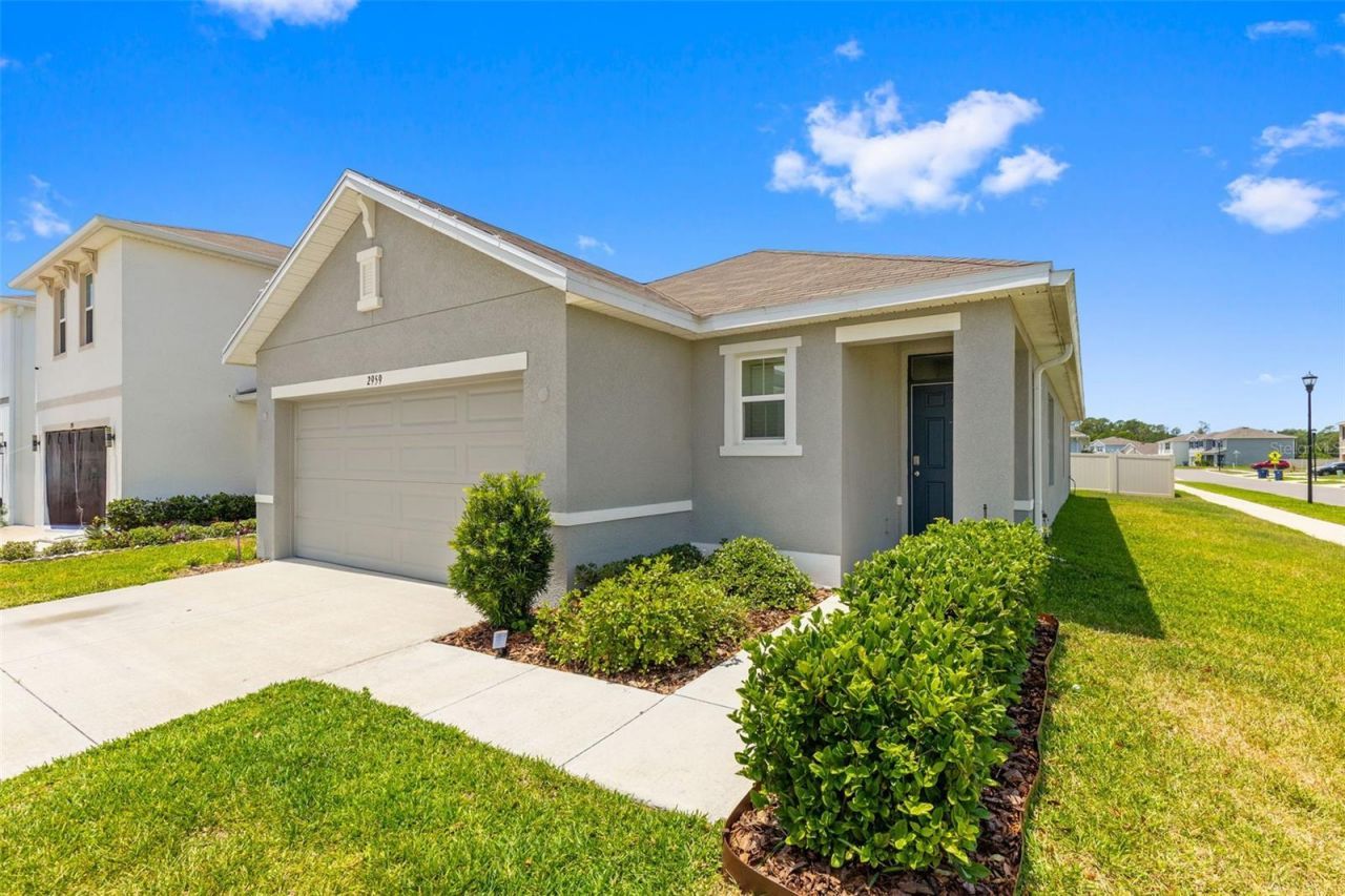 2959 Common Fig Run, Wesley Chapel, FL 33543 Photo