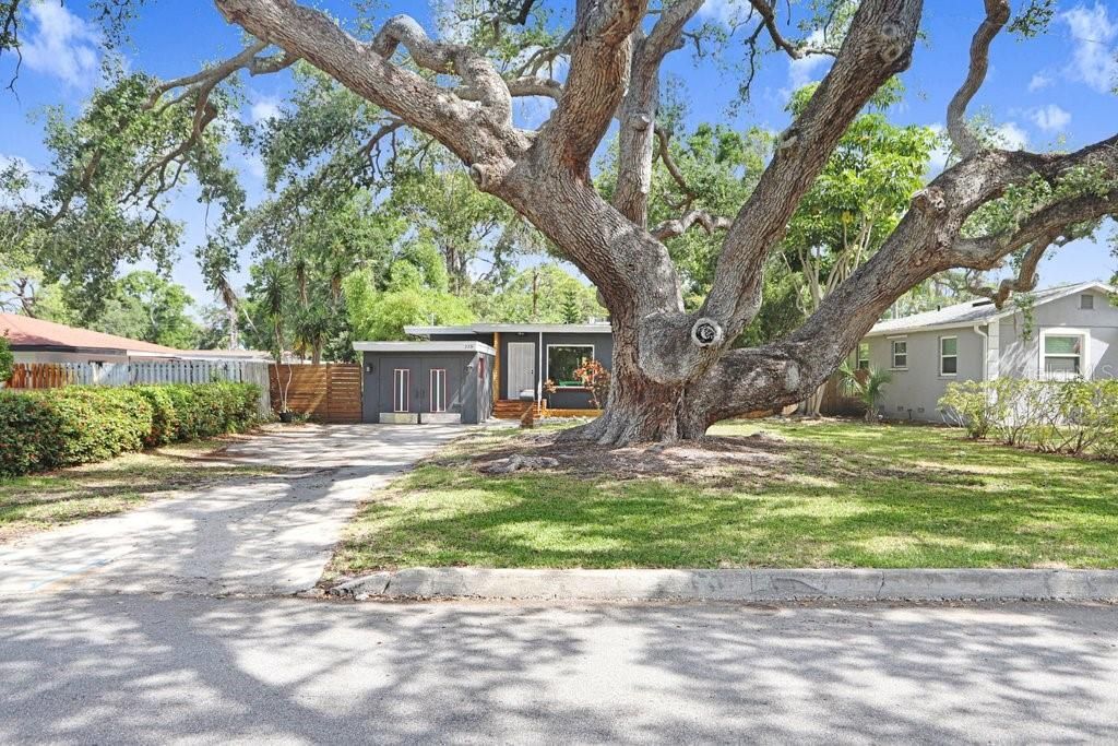 779 Bayou Blvd S , Saint Petersburg, FL 33705 Photo