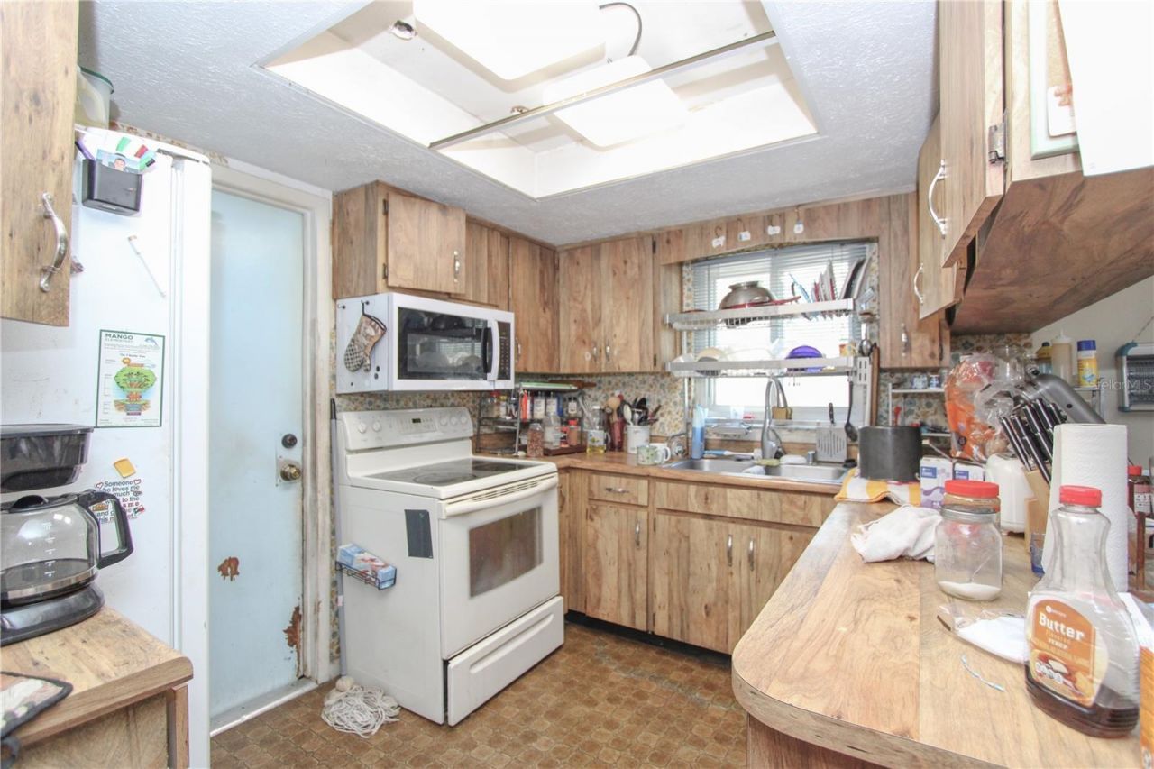 1229 Oak Valley Drive, Seffner, FL 33584 Photo