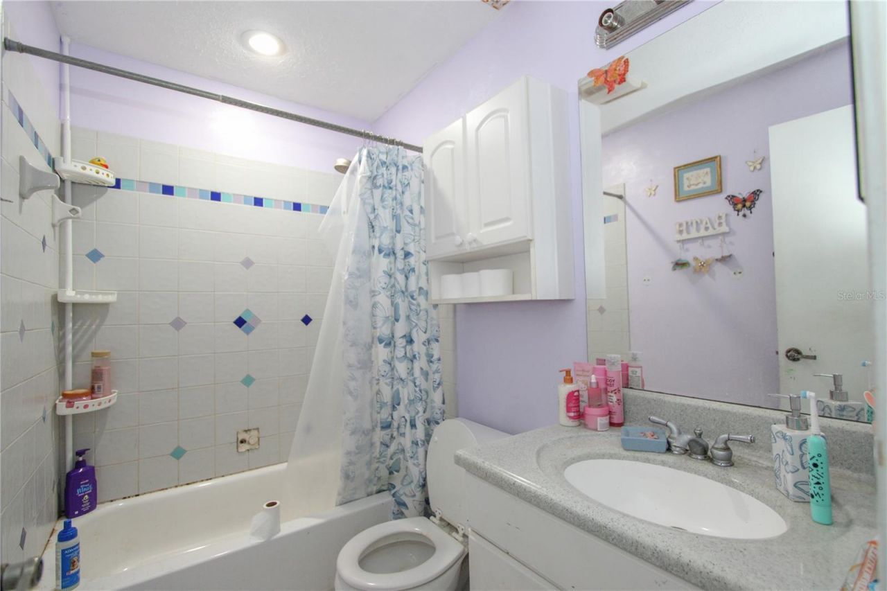 1229 Oak Valley Drive, Seffner, FL 33584 Photo