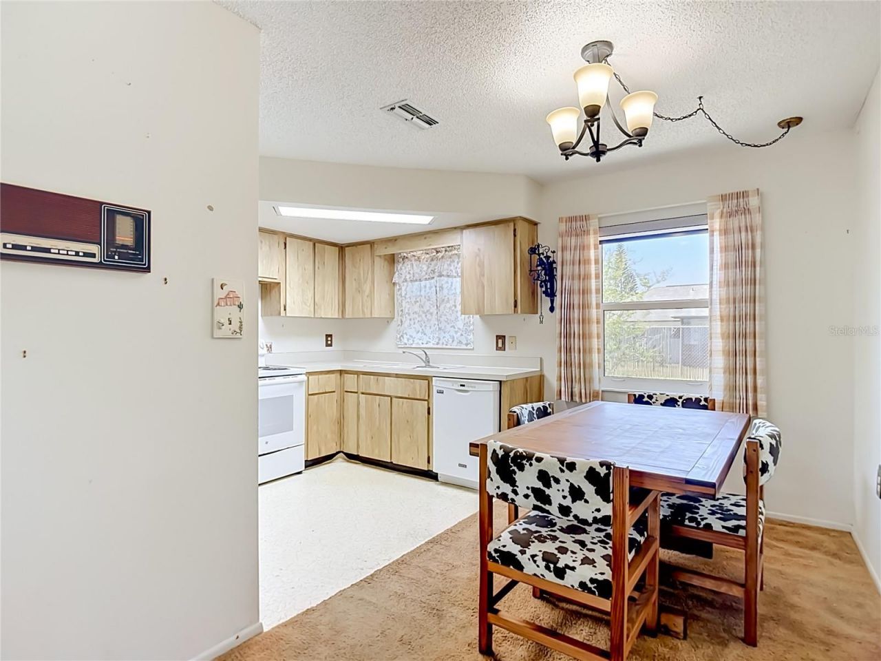 8406 Luray Drive , Port Richey, FL 34668 Photo