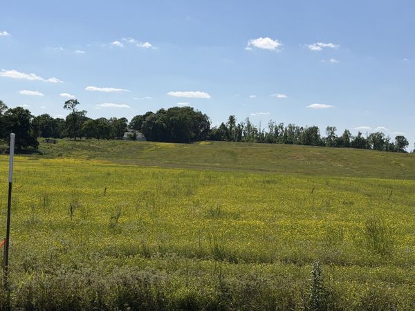 0 Pinson Rd, Unit Lot 4, Springfield, TN 37172