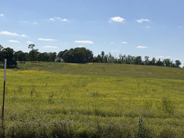 0 Pinson Rd, Unit Lot 1, Springfield, TN 37172