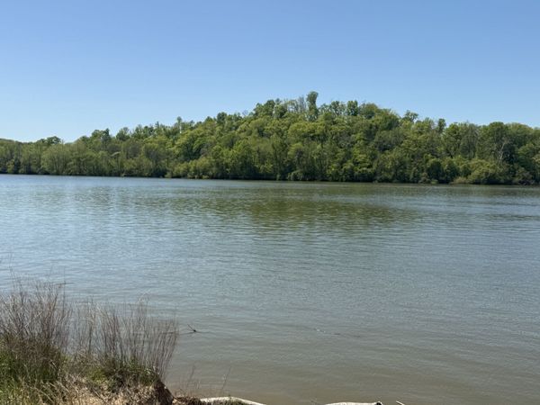 941 Hardin Bottom River Road , Clifton, TN 38425
