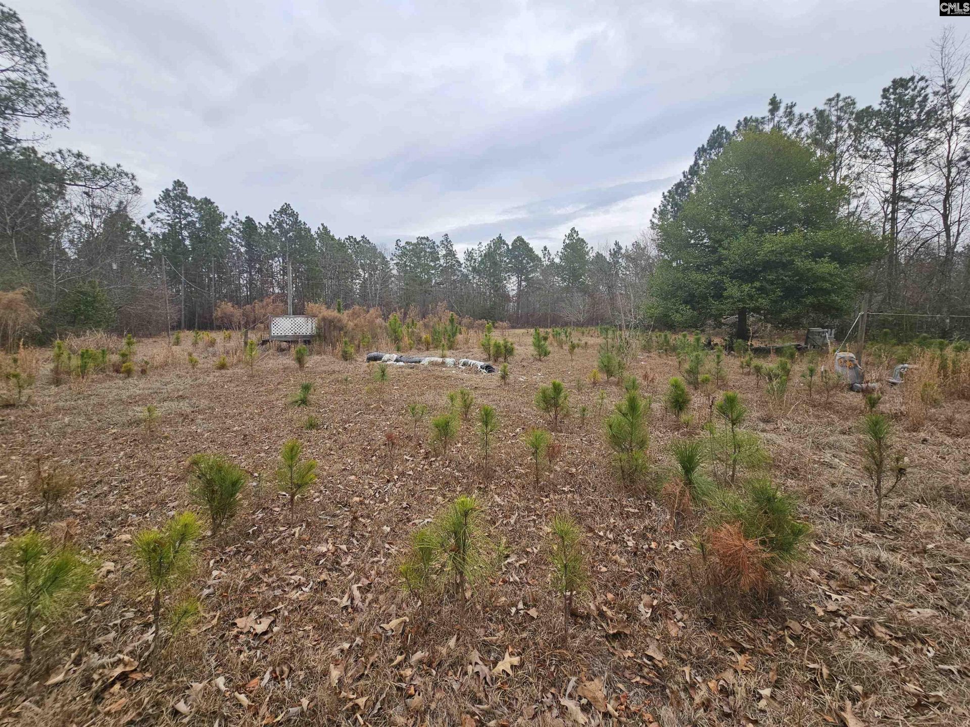 722 Jeff Sharpe Road  Photo 11