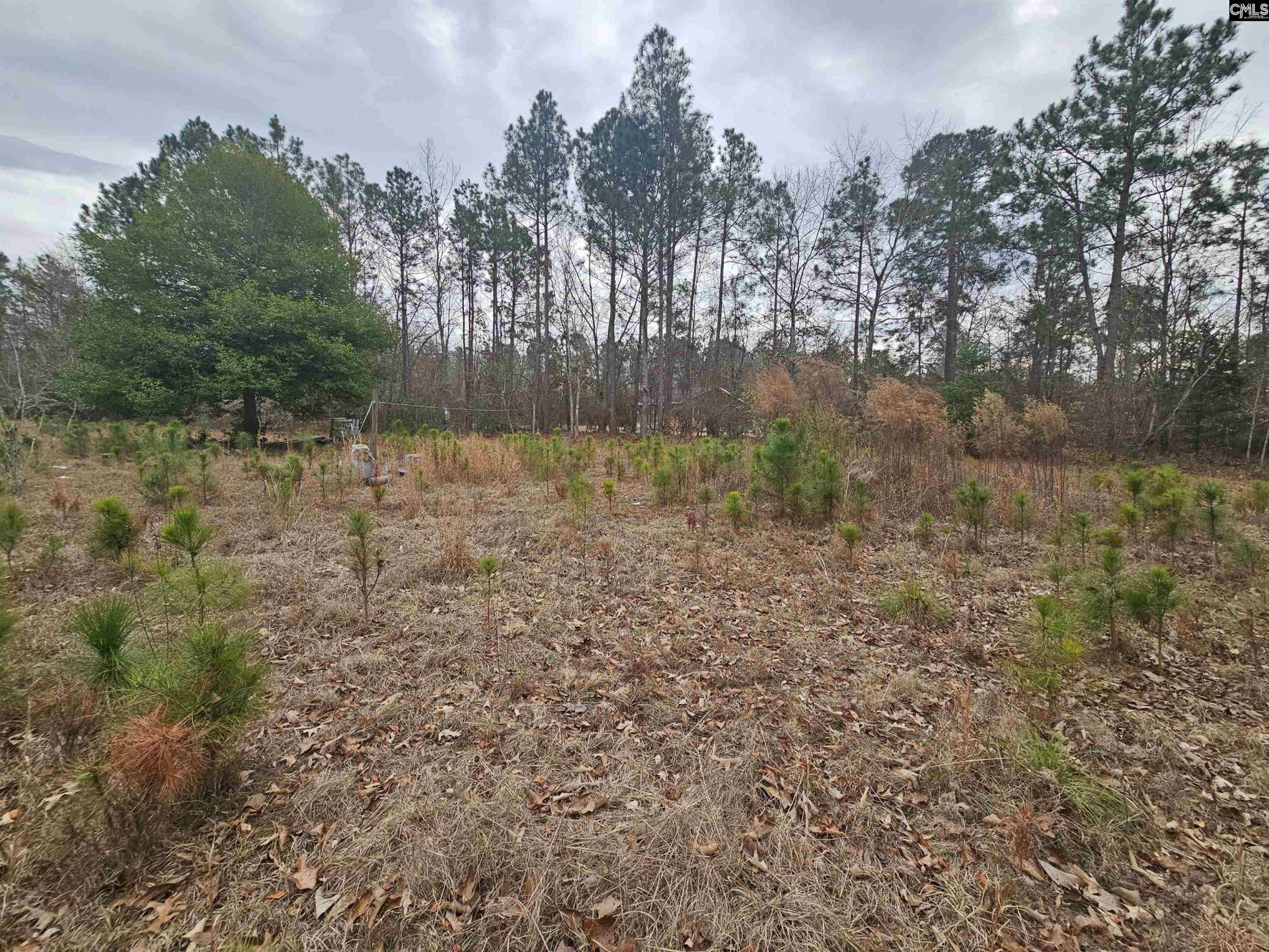 722 Jeff Sharpe Road  Photo 12
