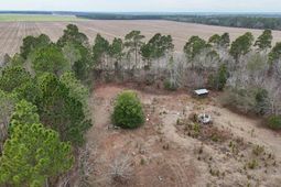 722 Jeff Sharpe Road  photo 4