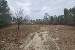 722 Jeff Sharpe Road  photo 4