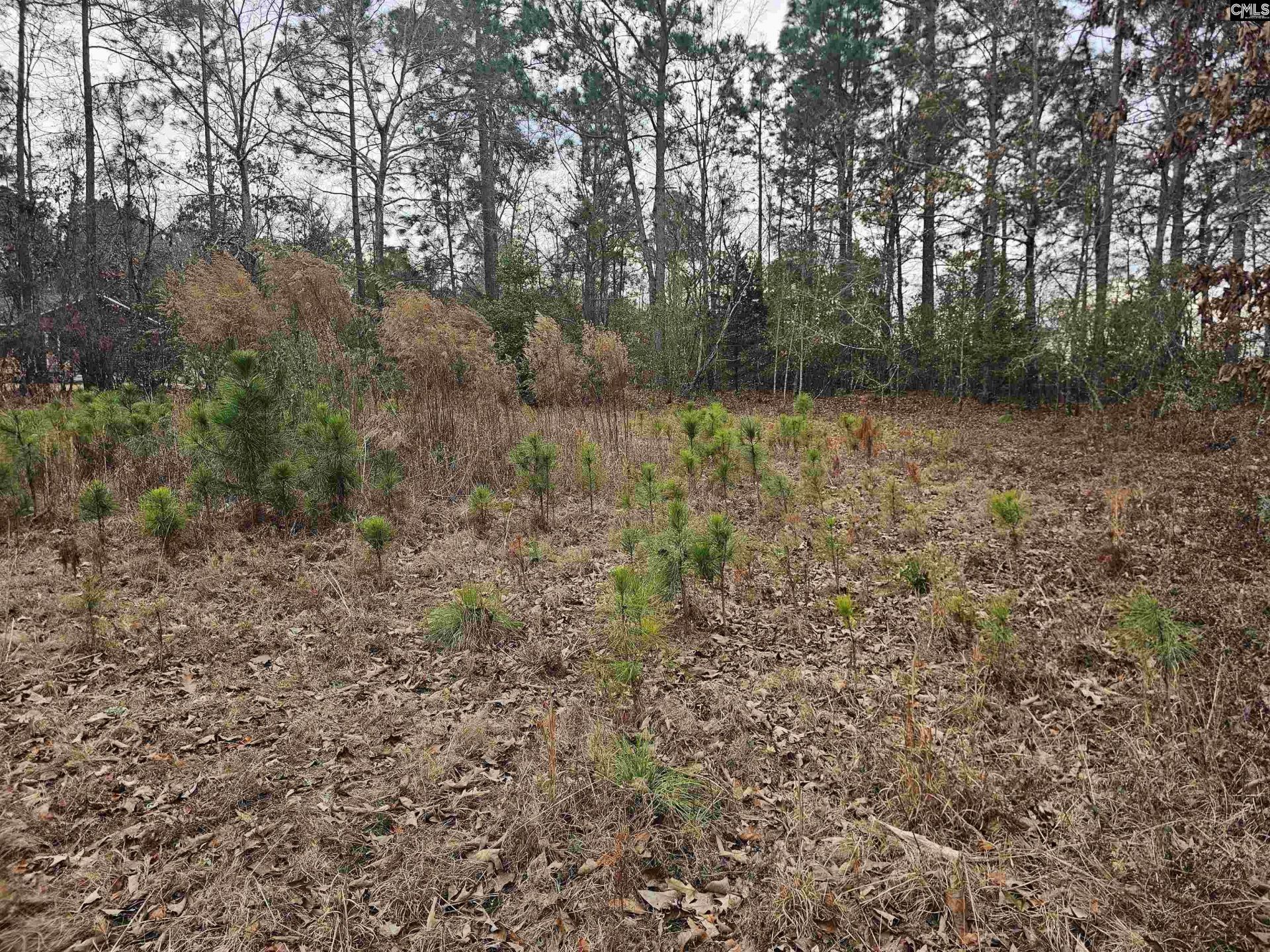 722 Jeff Sharpe Road  Photo 9