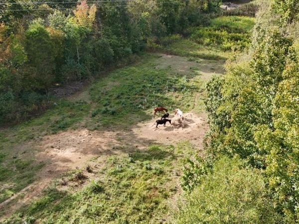 184 PEACEFUL PLACE Road, Caddo Gap, AR 71935