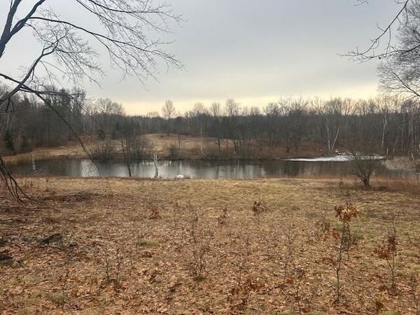 10300 E 24th Street, Reed City, MI 49677