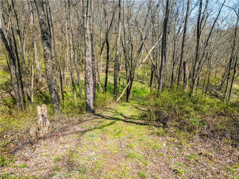 7313 County Road 22, Lakeville, OH 44638 Photo 5