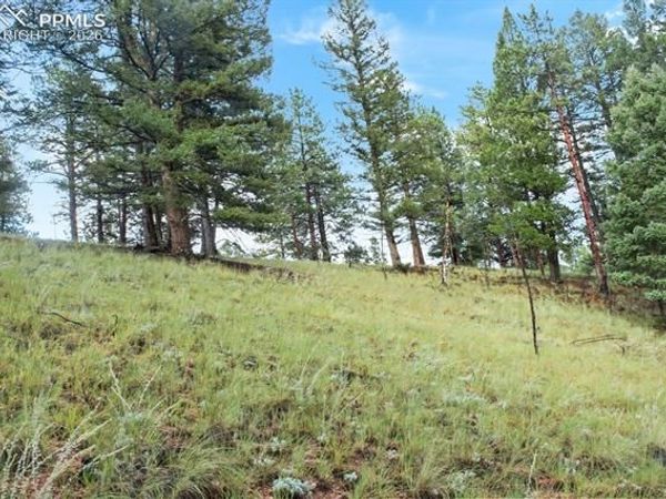 131 Lost Lake Circle, Divide, CO 80814