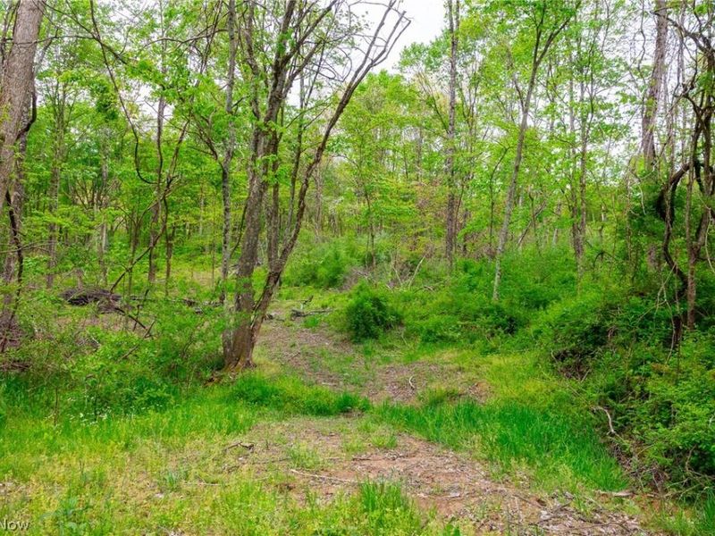 37795 Sheep Skin Ridge , Lower Salem, OH 45745 Photo 18