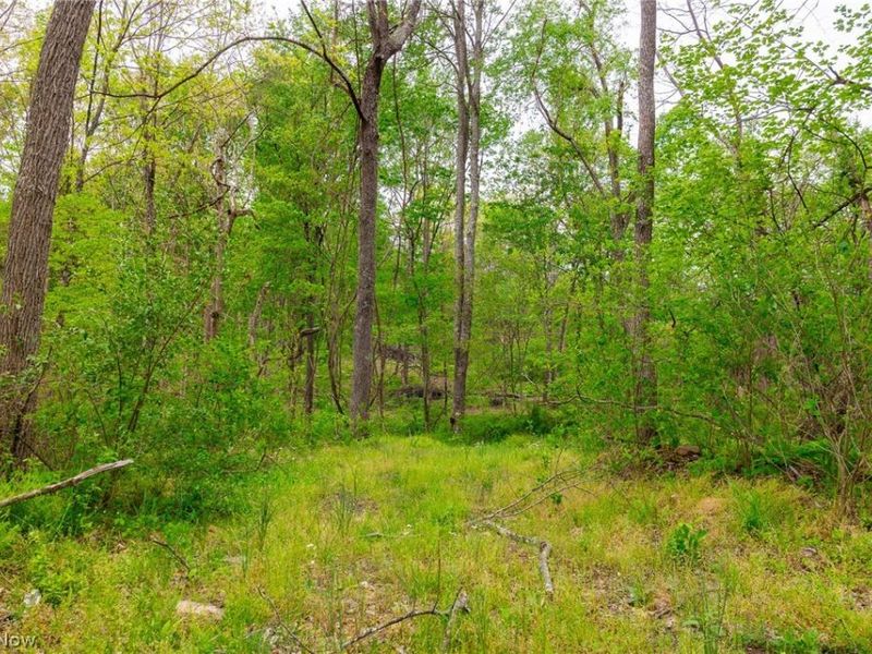 37795 Sheep Skin Ridge , Lower Salem, OH 45745 Photo 20