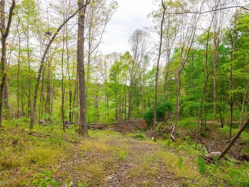 37795 Sheep Skin Ridge , Lower Salem, OH 45745 Photo 22