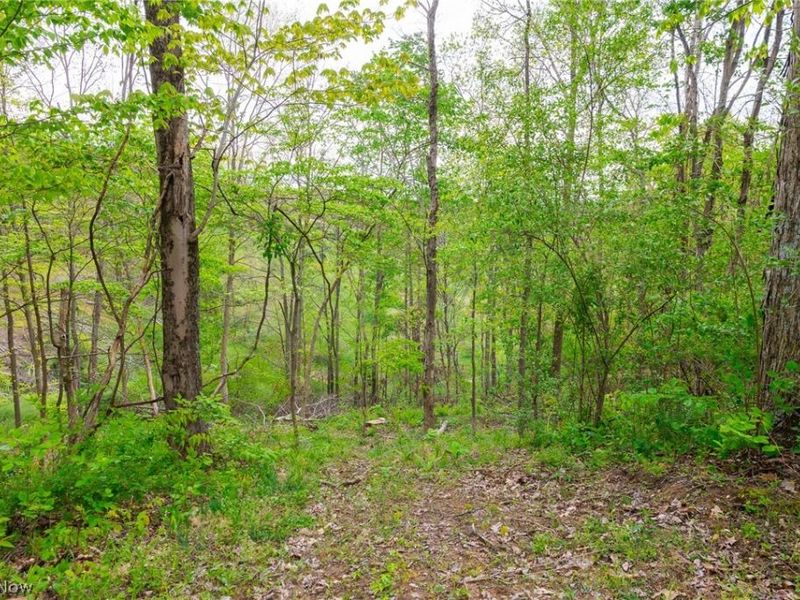 37795 Sheep Skin Ridge , Lower Salem, OH 45745 Photo 30
