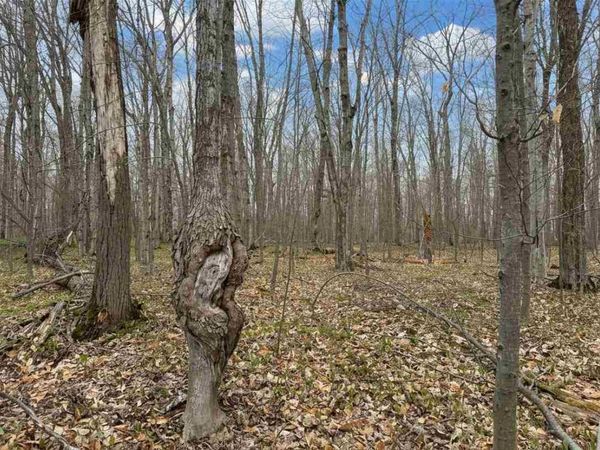 1.7 Acre Latocha Road, Pellston, MI 49769