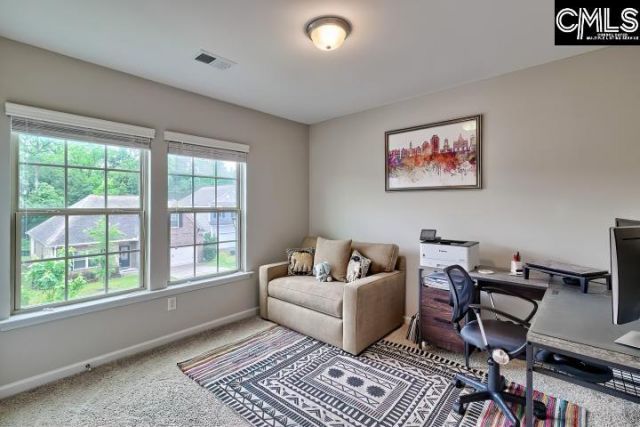 828 Red Solstice Court Photo 25