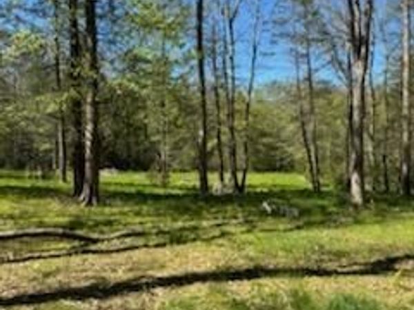 Oak Drive, Drums, PA 18222