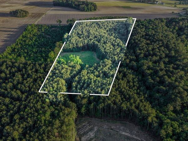 0 Pendergrass Drive , Princeton, NC 27569