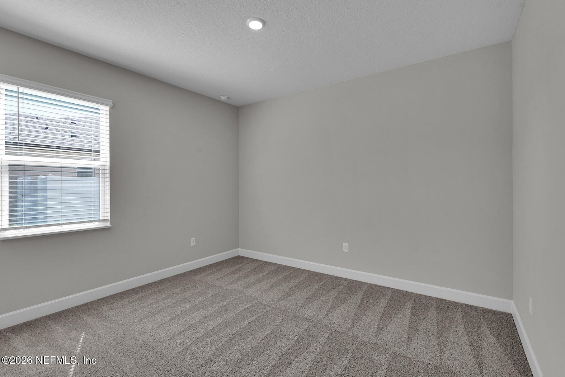 6904 Big Juniper Court, Jacksonville, FL 32219 Photo