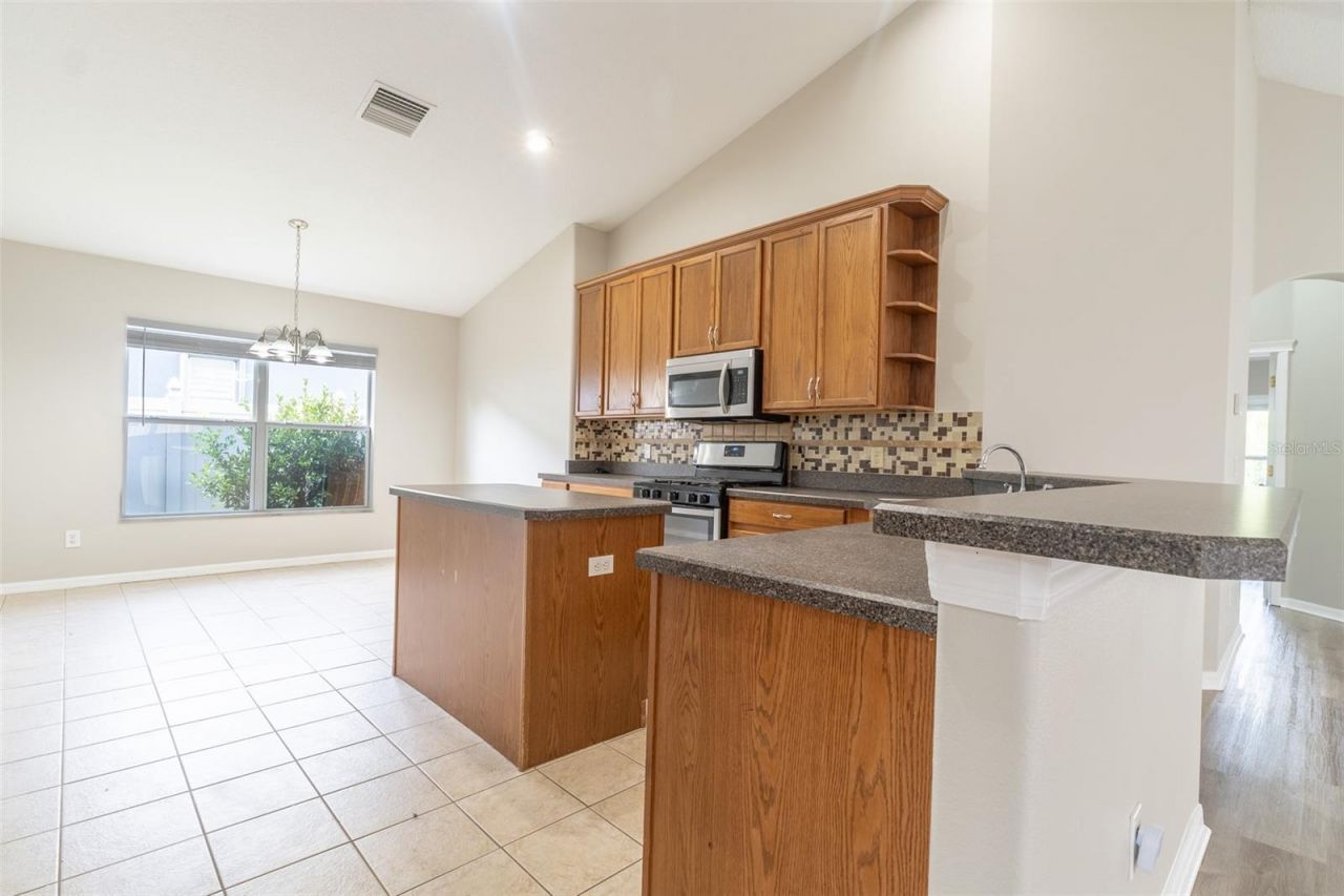 6806 Guilford Crest Drive, Apollo Beach, FL 33572 Photo
