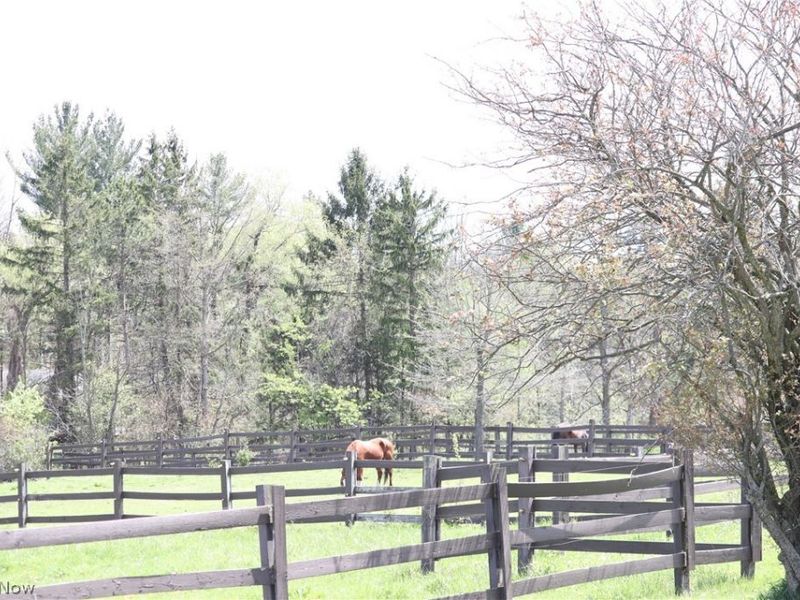 10286 Wilson Mills Road, Chardon, OH 44024 Photo 10