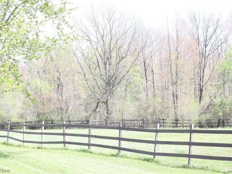10286 Wilson Mills Road, Chardon, OH 44024 Photo 11