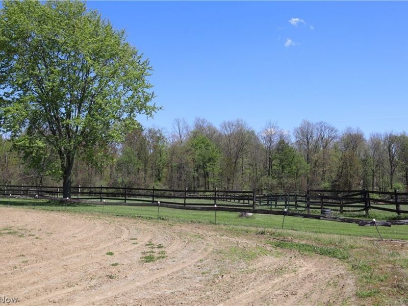 10286 Wilson Mills Road, Chardon, OH 44024 Photo 18