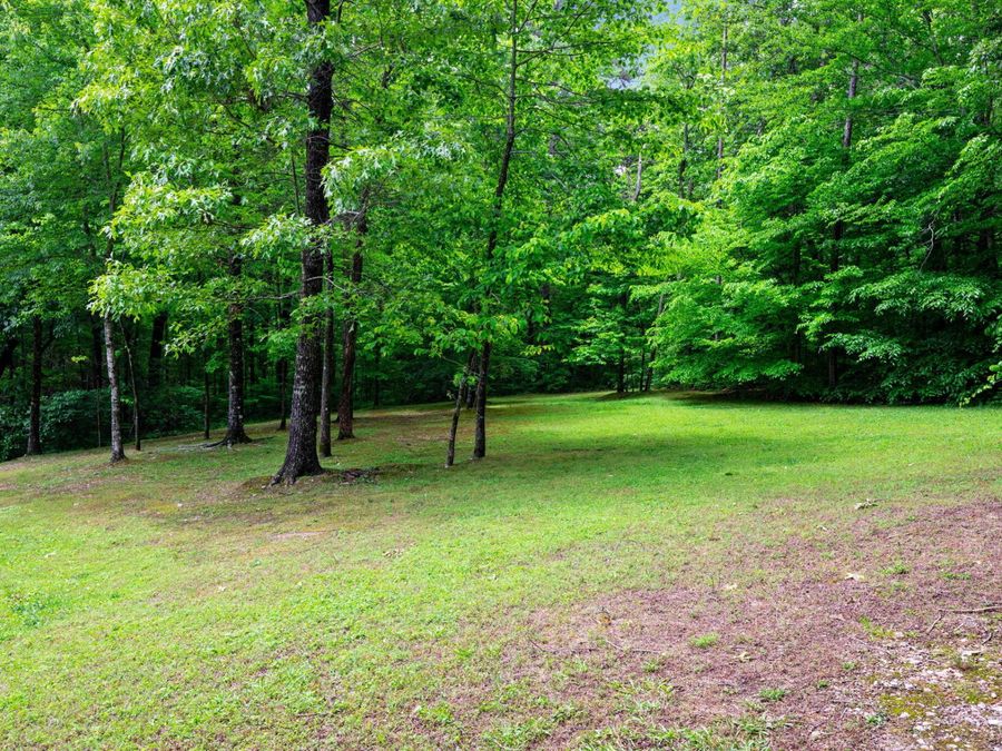 Property Image 44