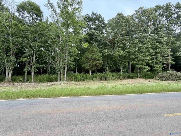 3.44 County Road 91, Gaylesville, AL 35973