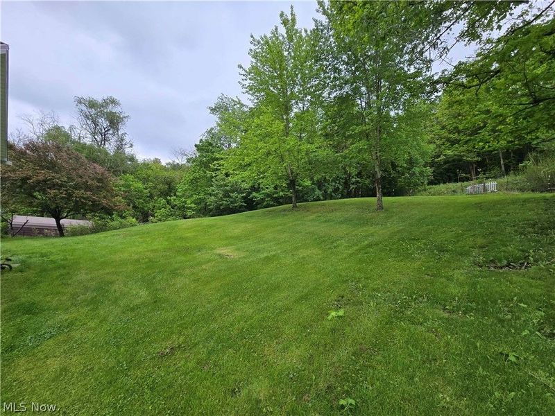 67480 Plum Street, Bridgeport, OH 43912 Photo 3