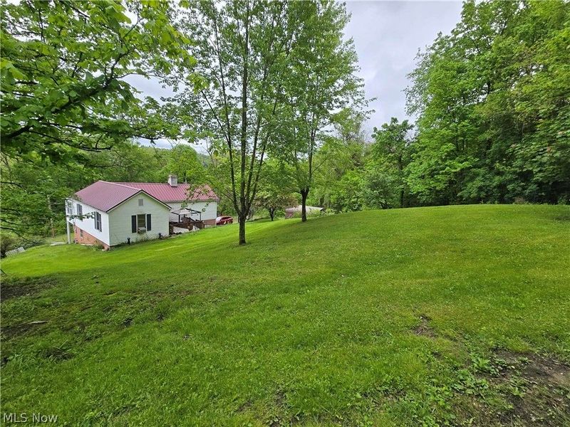 67480 Plum Street, Bridgeport, OH 43912 Photo 4