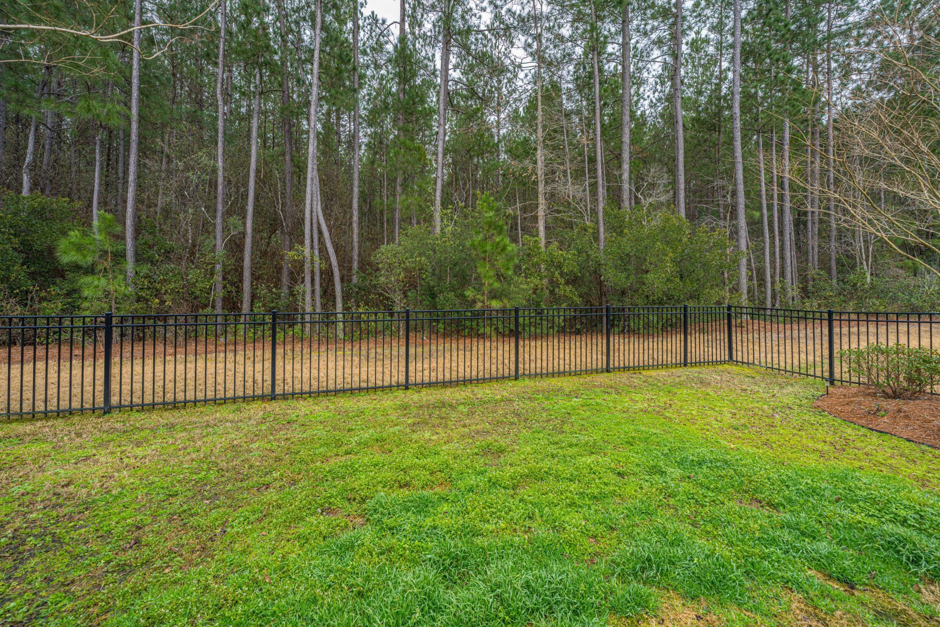 441 Hidden Meadow Lane Photo 44