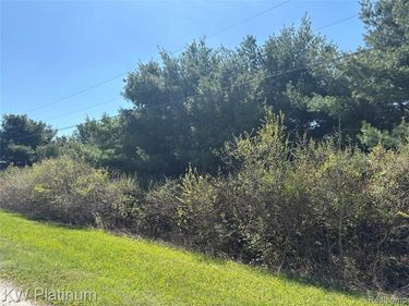 Parcel B V/L Wicha Drive , Burtchville Twp, MI 48059