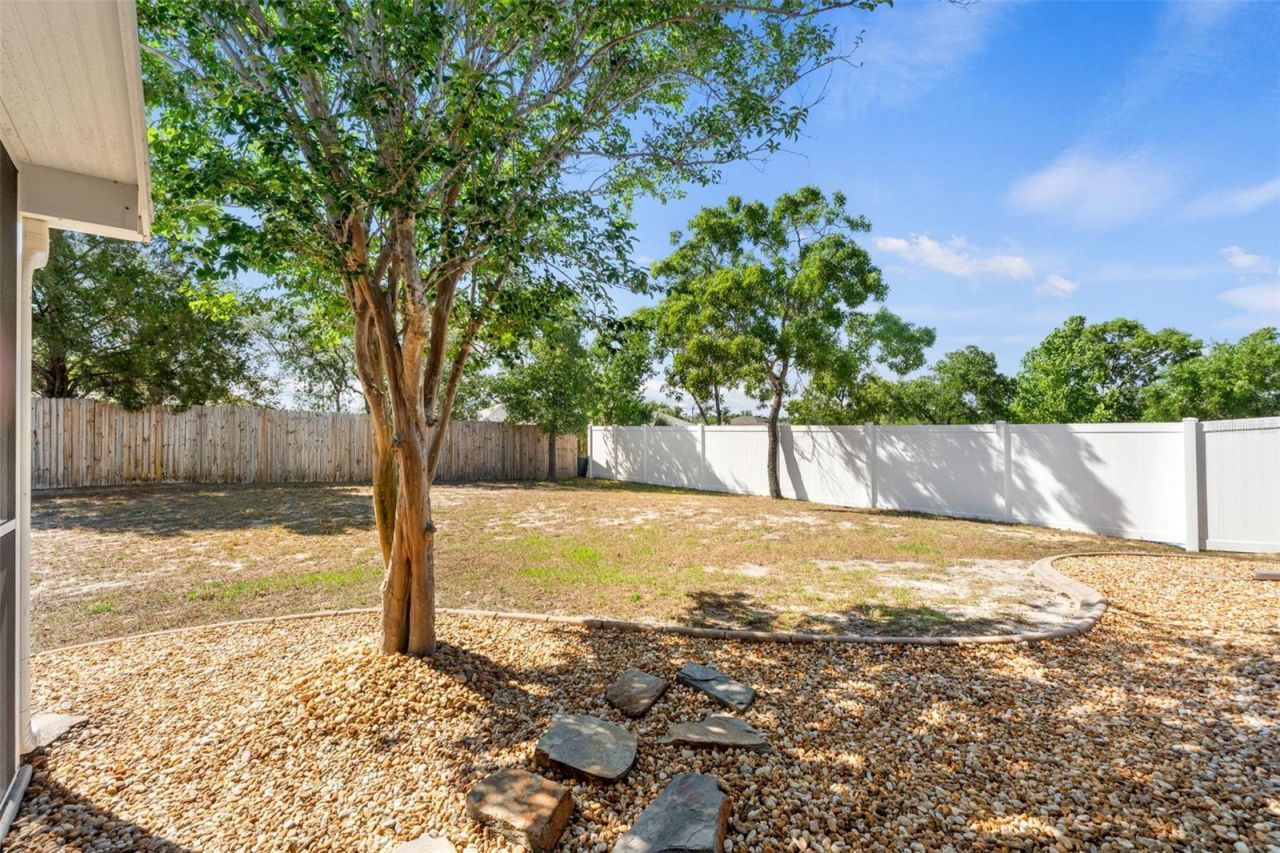 5339 Roble Avenue , Spring Hill, FL 34608 Photo