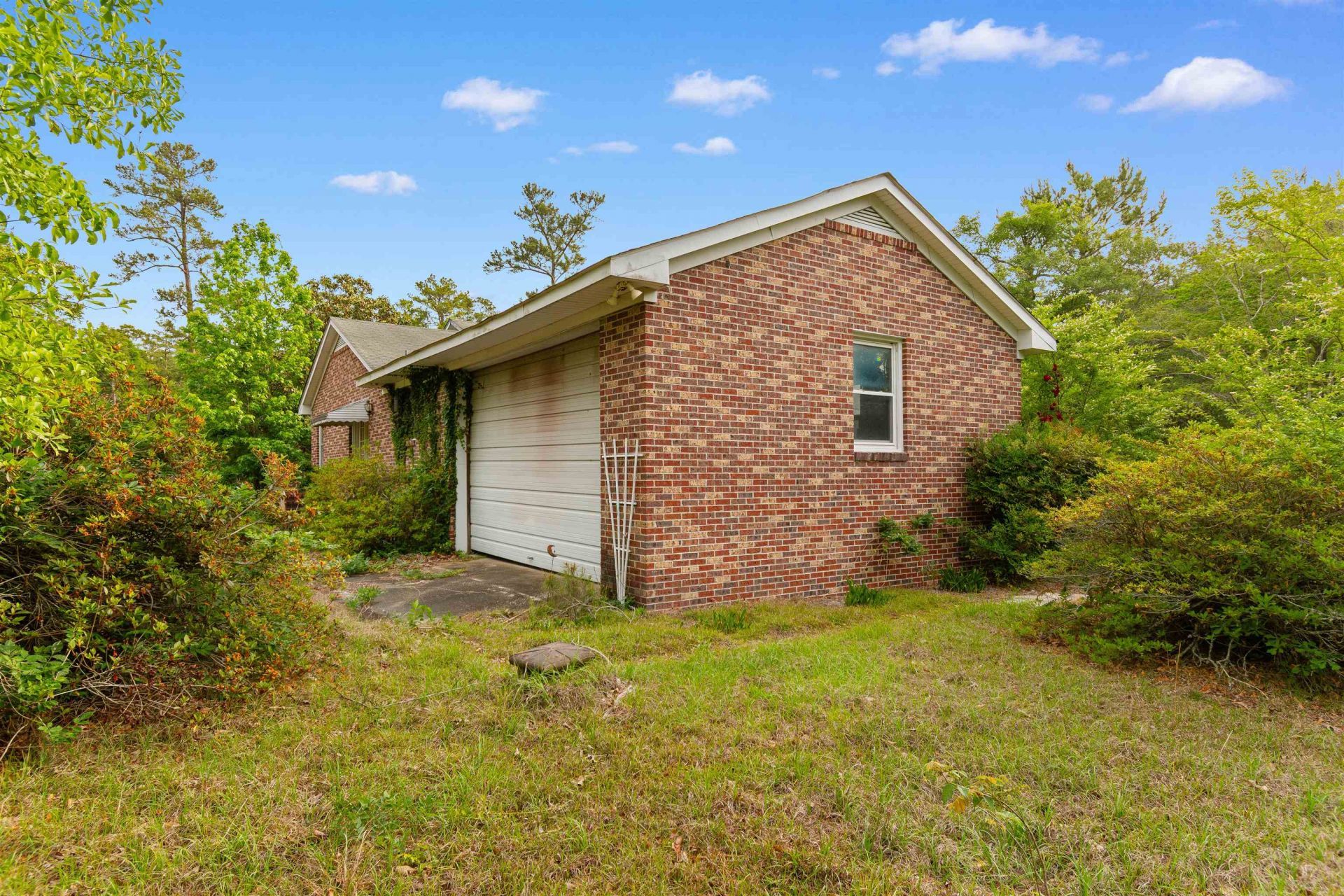 10201 Lake Swamp Rd. Photo 24