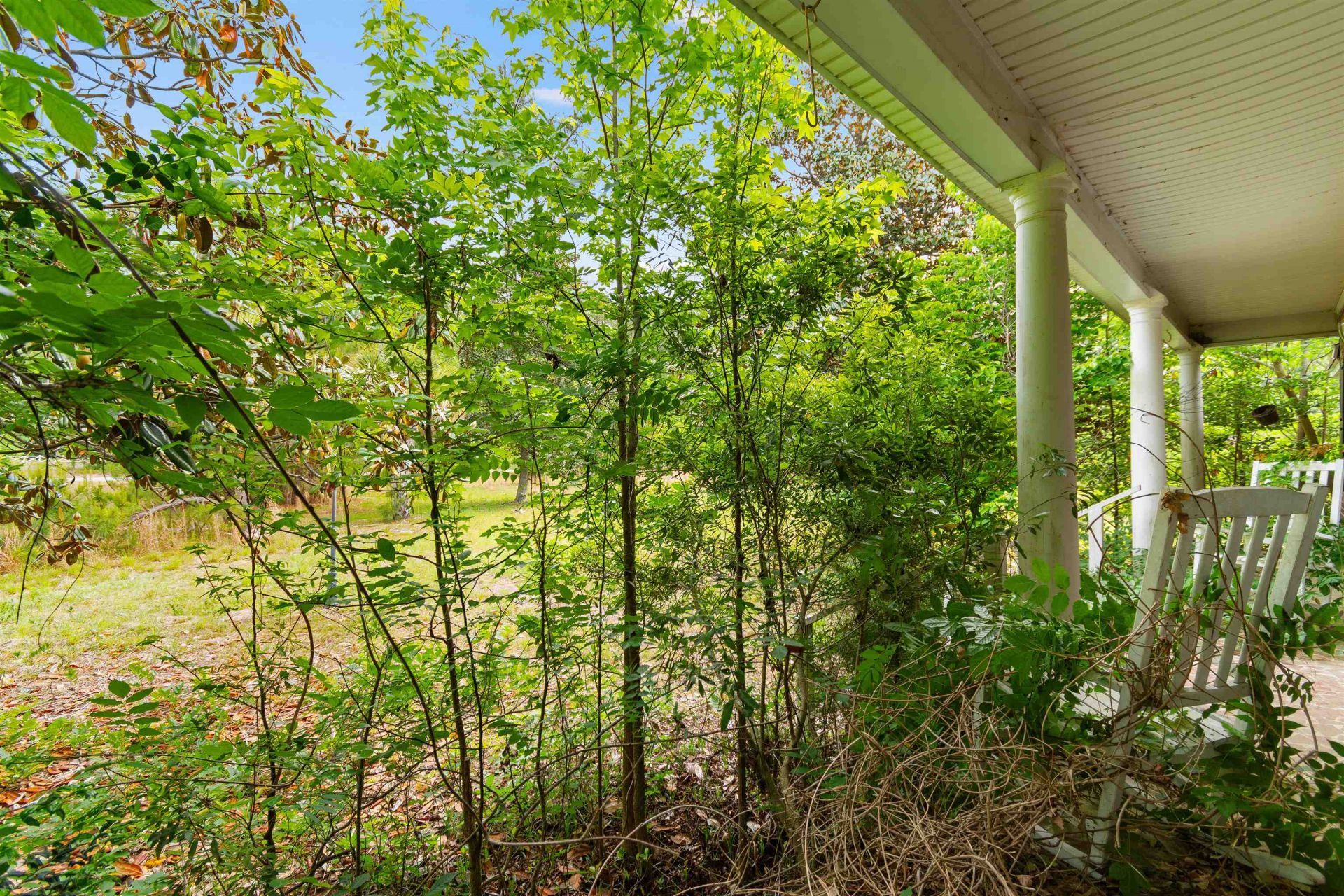 10201 Lake Swamp Rd. Photo 27