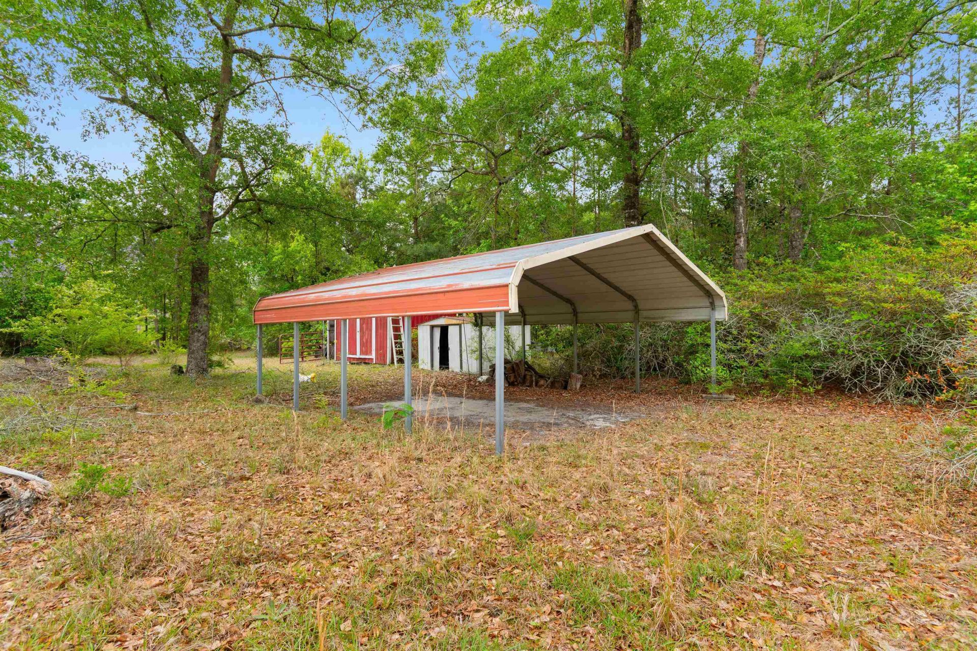 10201 Lake Swamp Rd. Photo 30