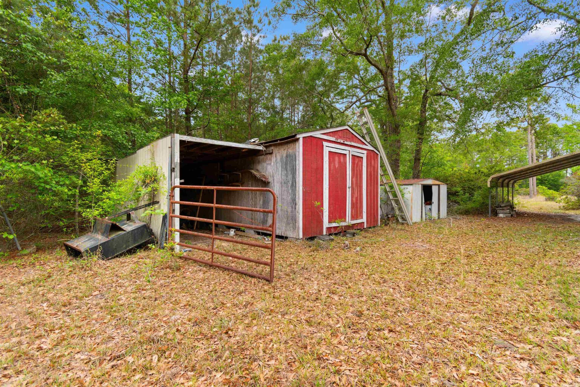 10201 Lake Swamp Rd. Photo 31