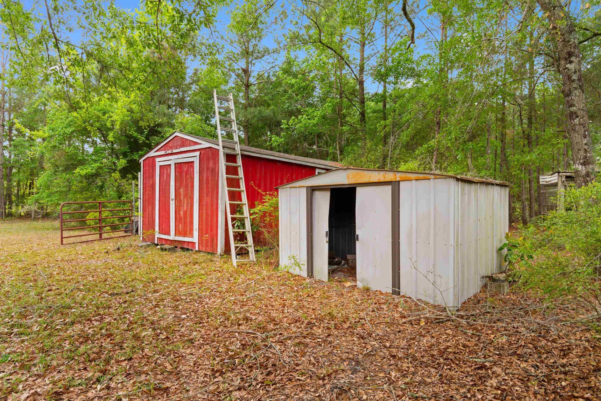 10201 Lake Swamp Rd. Photo 32