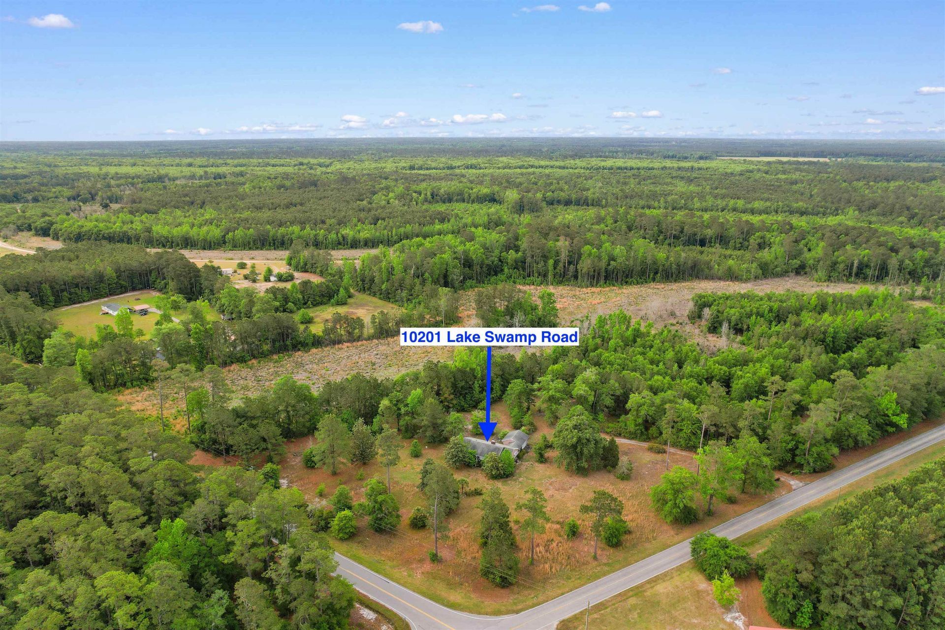 10201 Lake Swamp Rd. Photo 37