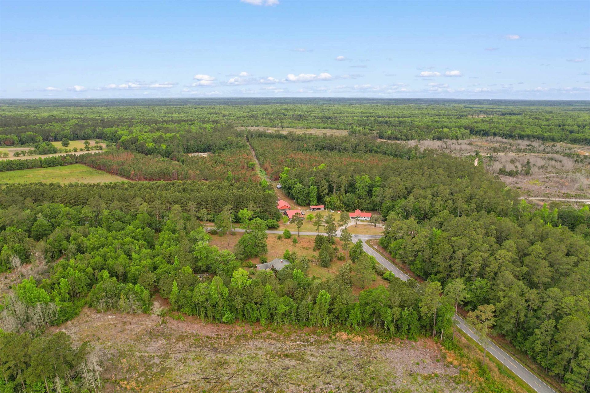 10201 Lake Swamp Rd. Photo 39