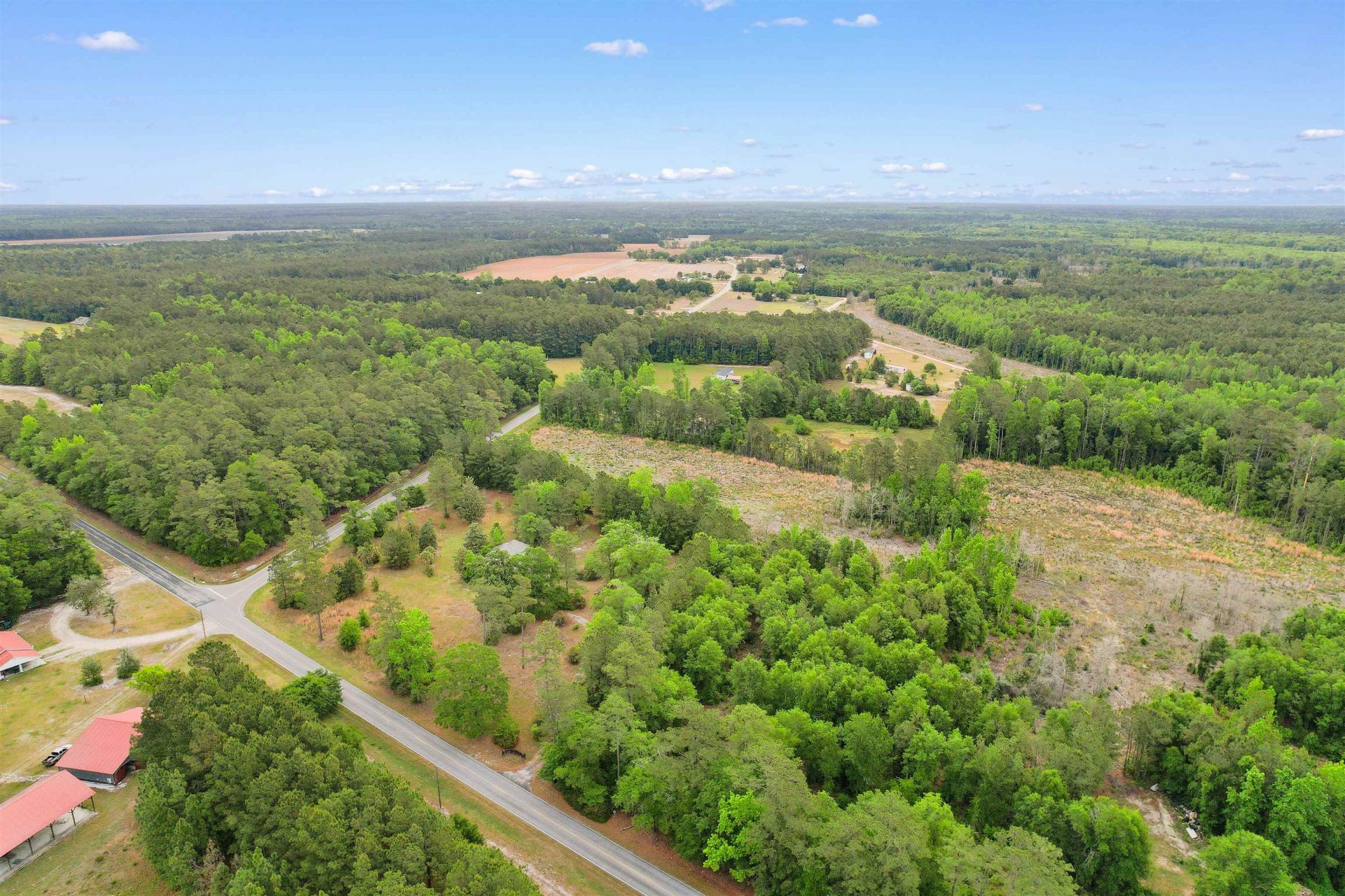 10201 Lake Swamp Rd. Photo 41