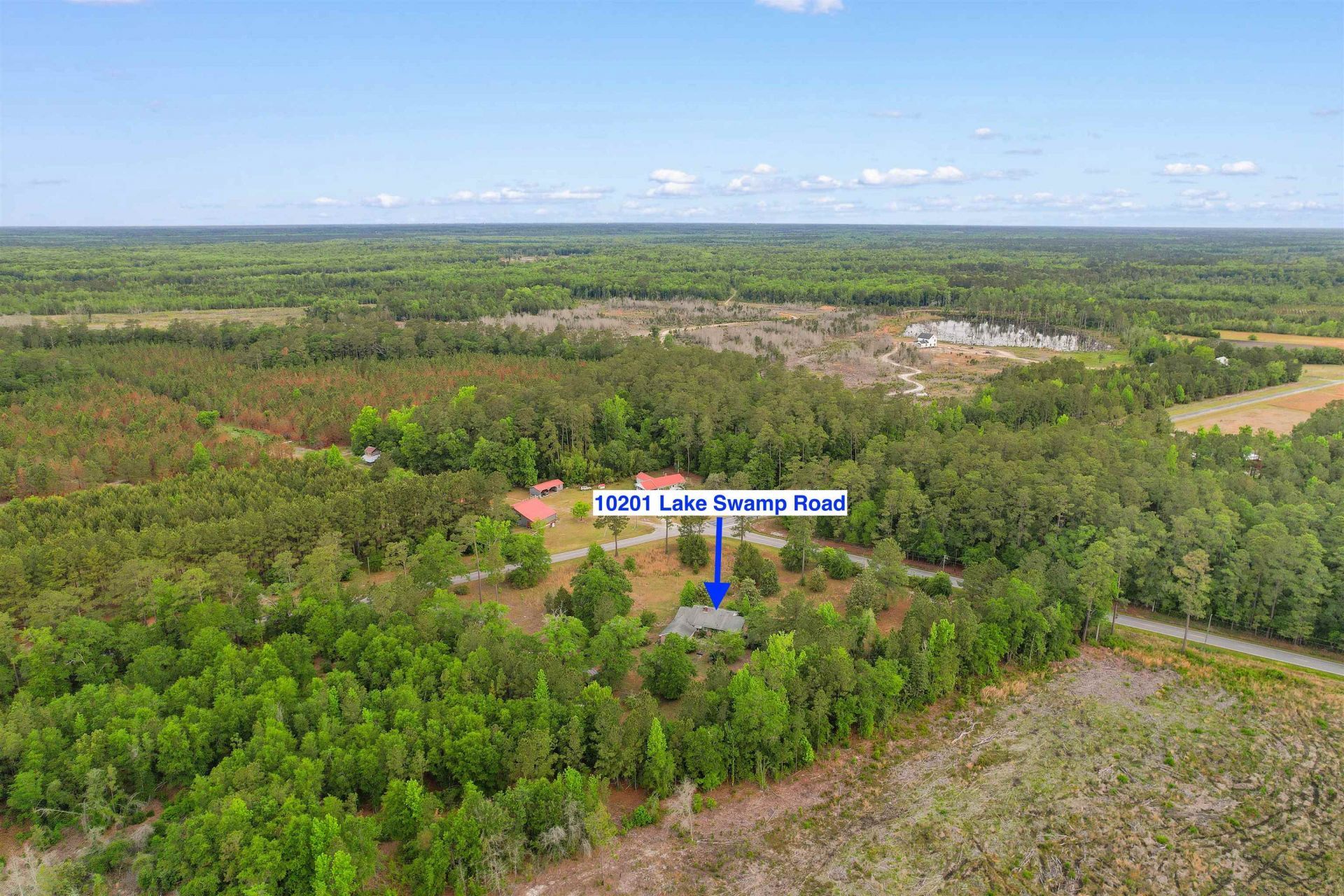 10201 Lake Swamp Rd. Photo 42