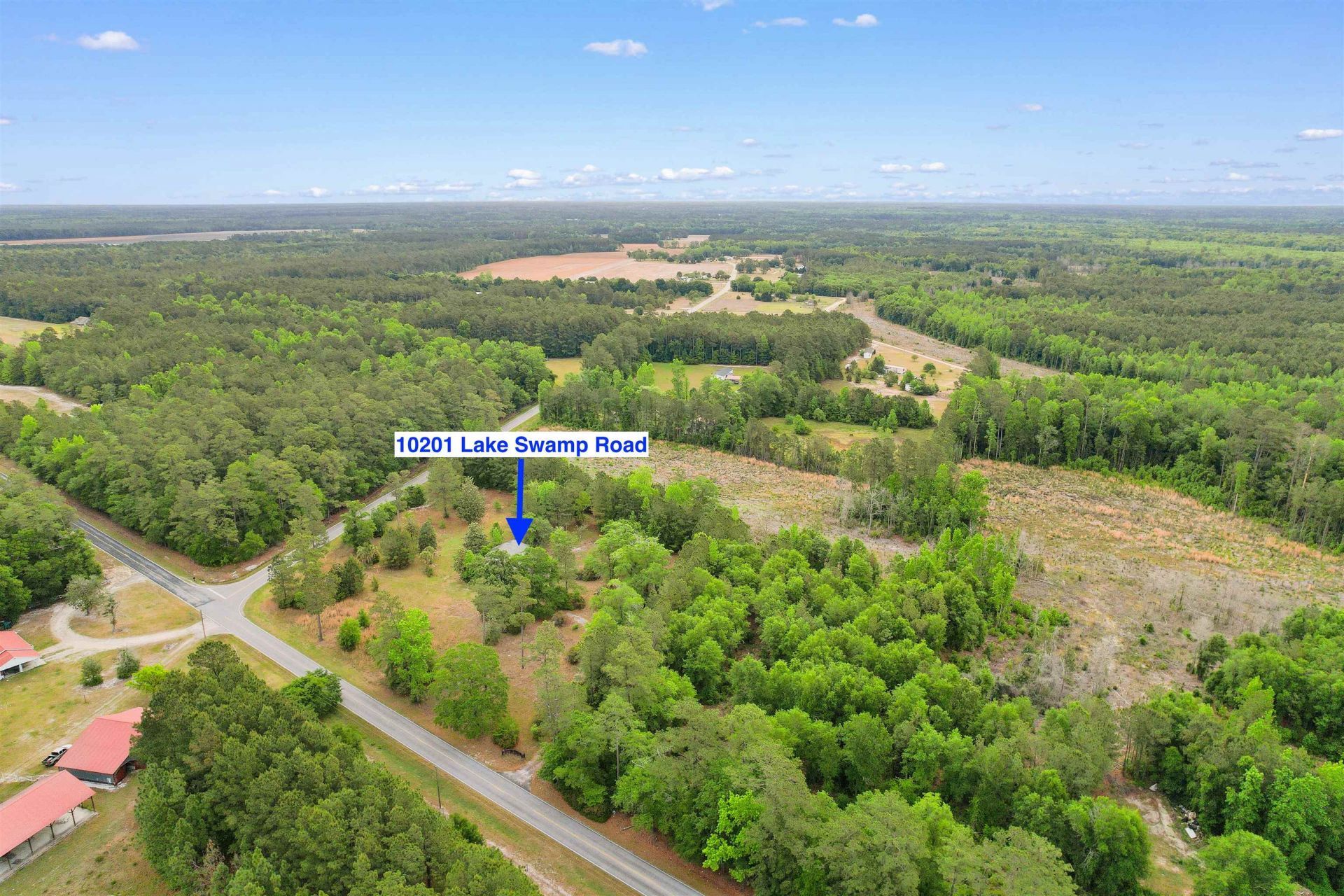 10201 Lake Swamp Rd. Photo 43