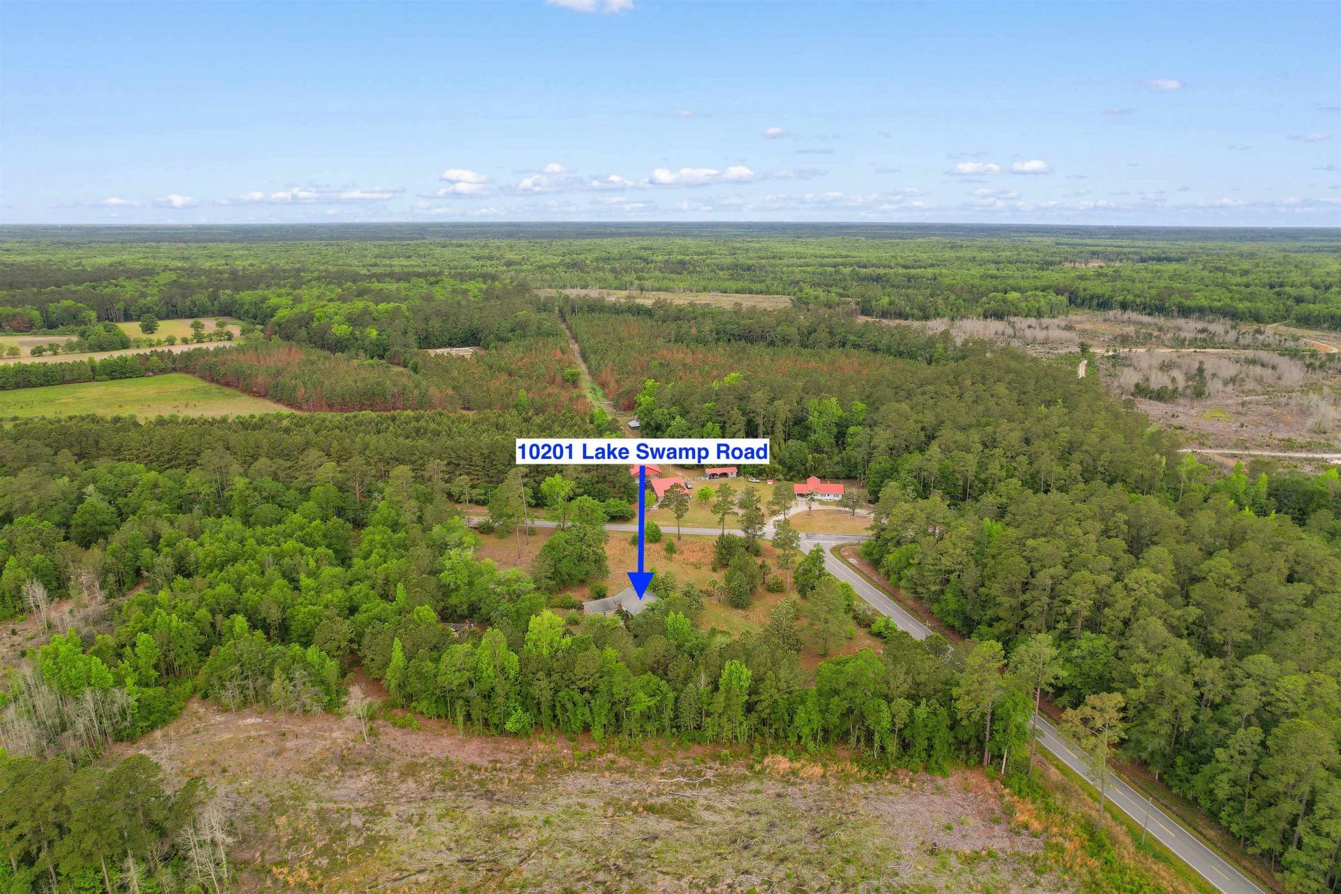 10201 Lake Swamp Rd. Photo 44
